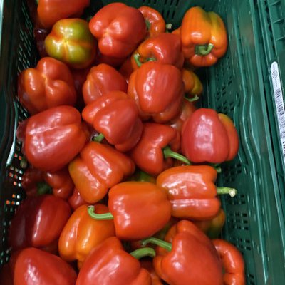 PAPRIKA ROOD UGLY 10 kg